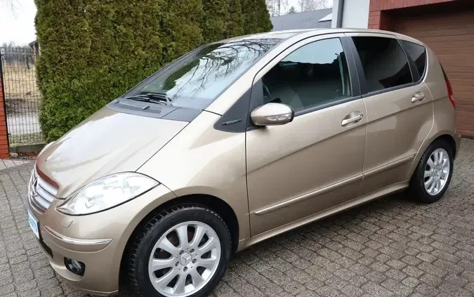 Mercedes-Benz Klasa A cena 16500 przebieg: 116061, rok produkcji 2004 z Borek Wielkopolski małe 211